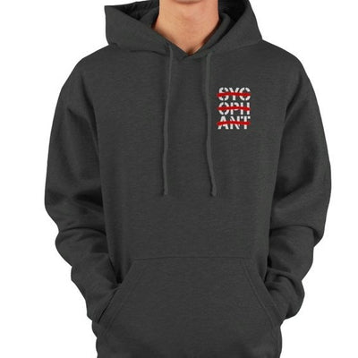 tultex pullover hoody